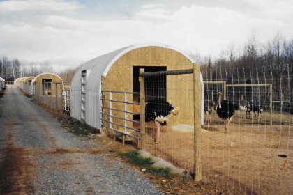 steel livestock building